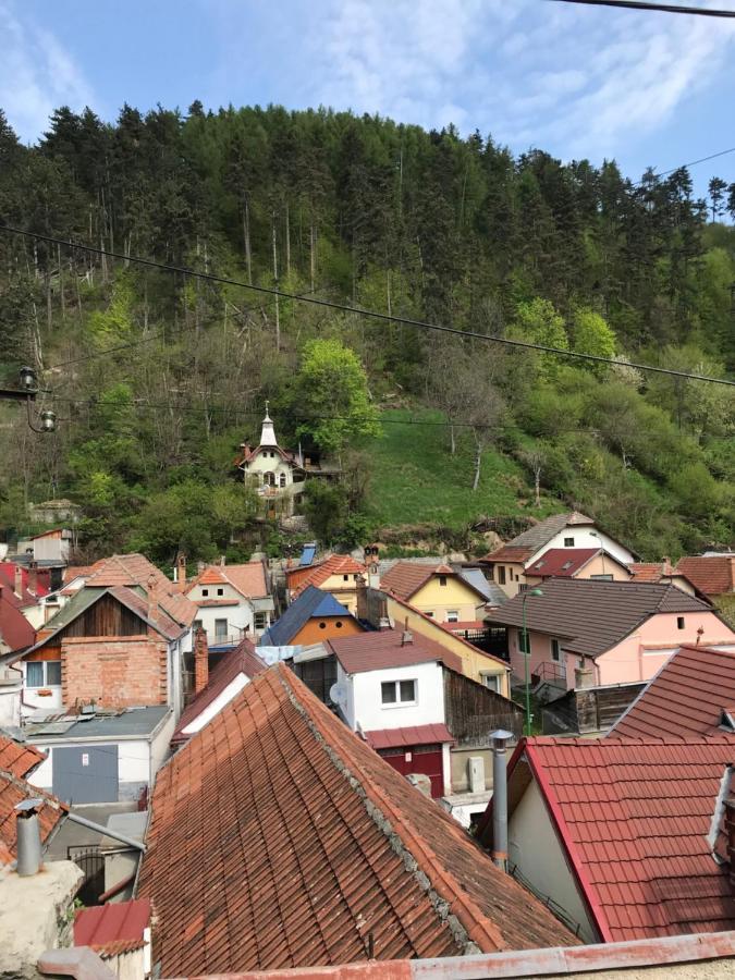 Casa Mountain View Villa บราชอฟ ภายนอก รูปภาพ